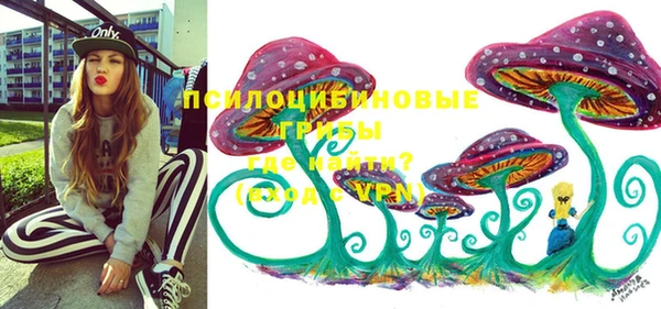 ешки Медногорск
