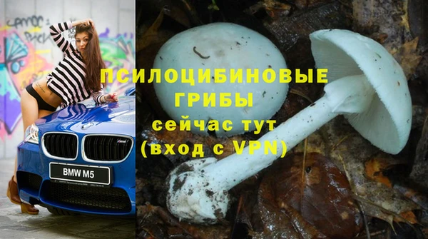 тгк Медвежьегорск