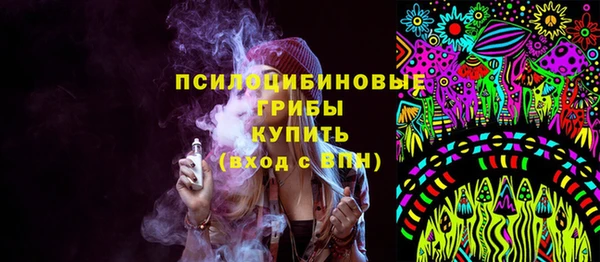 ешки Медногорск