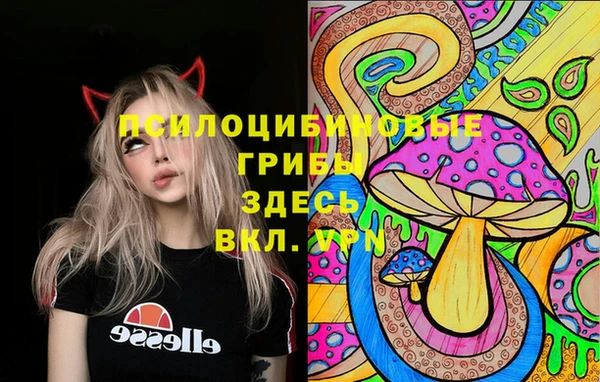 тгк Медвежьегорск