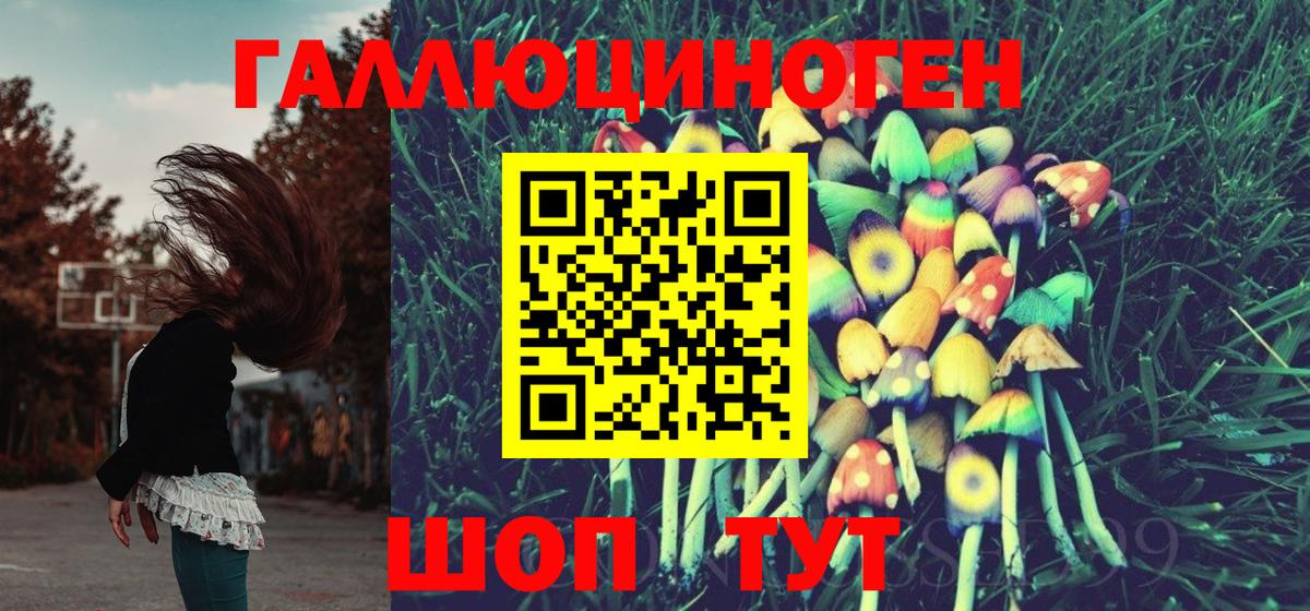Шебекино  Псилоцибиновые грибы Psilocybine cubensis  Вход с VPN  Галлюциногенные грибы прущие грибы 