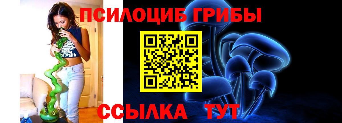 Галлюциногенные грибы прущие грибы Шебекино