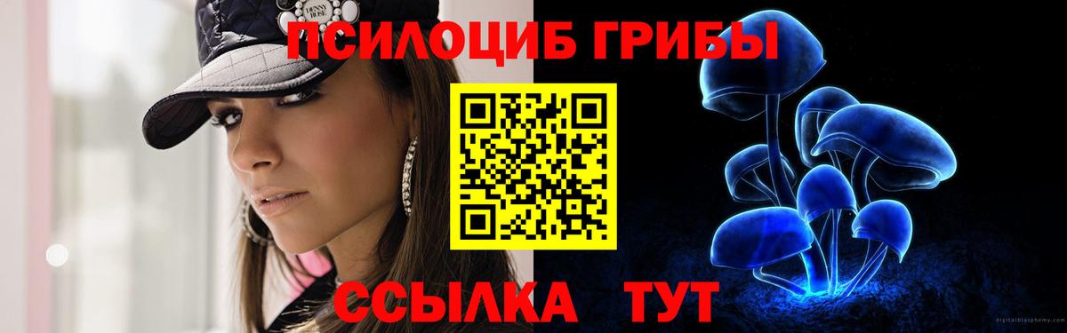 Галлюциногенные грибы Cubensis  купить  цена  Псилоцибиновые грибы прущие грибы  Шебекино 