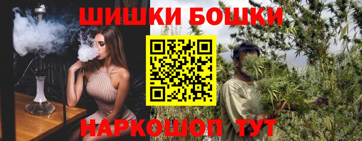 Канабис планчик  Конопля семена  Каннабис марихуана  Шебекино  Каннабис сатива 